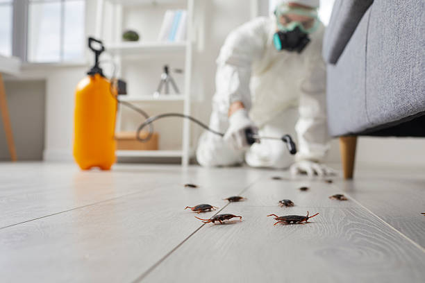 Post-Treatment Bed Bug Interceptor Monitoring in Lemoore Station